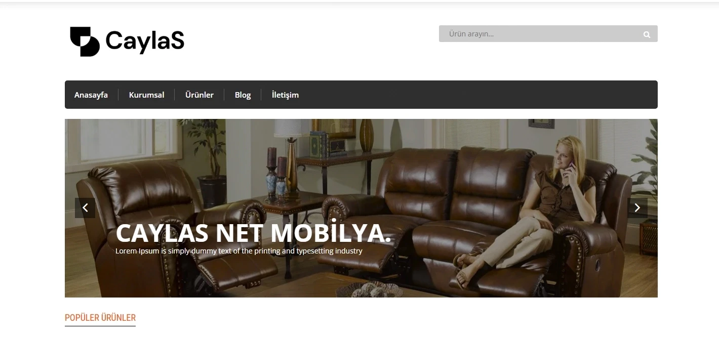 CaylaS Mobilya Yazılımı